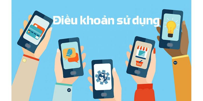 Vai trò của điều khoản sử dụng