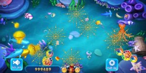 Tại sao bạn nên thử ngay săn cá hôm nay